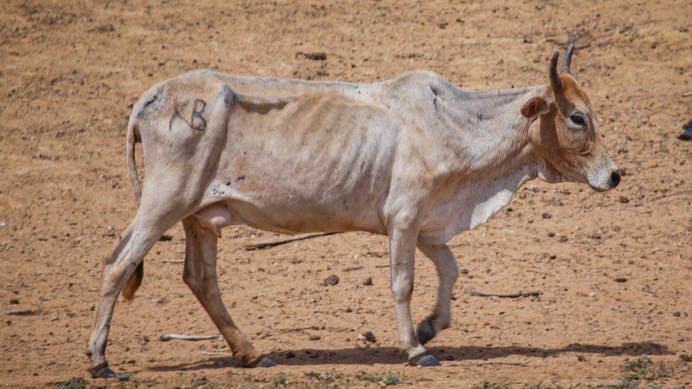 Kumbukeni Kujiandaa Kukabiliana na Ukame Terrat Simanjiro