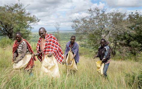 Wadau Waungana Kunusuru Mazingira ya Maasai Steppe